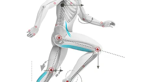 BODY AWARENESS | ANATOMY