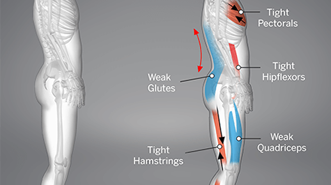 BODY AWARENESS | MOVEMENT