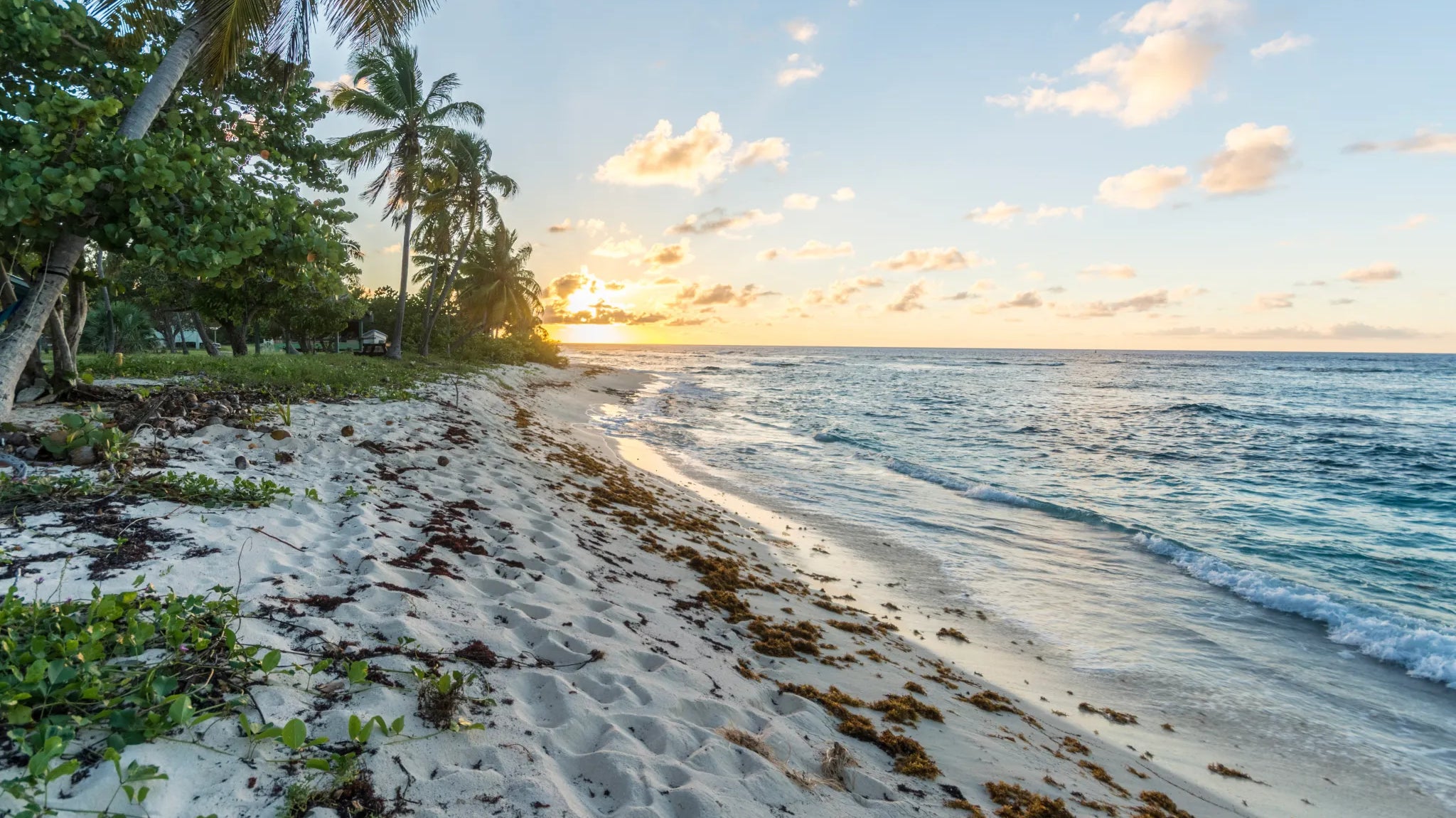 THE ULTIMATE GUIDE TO BEACH RUNNING