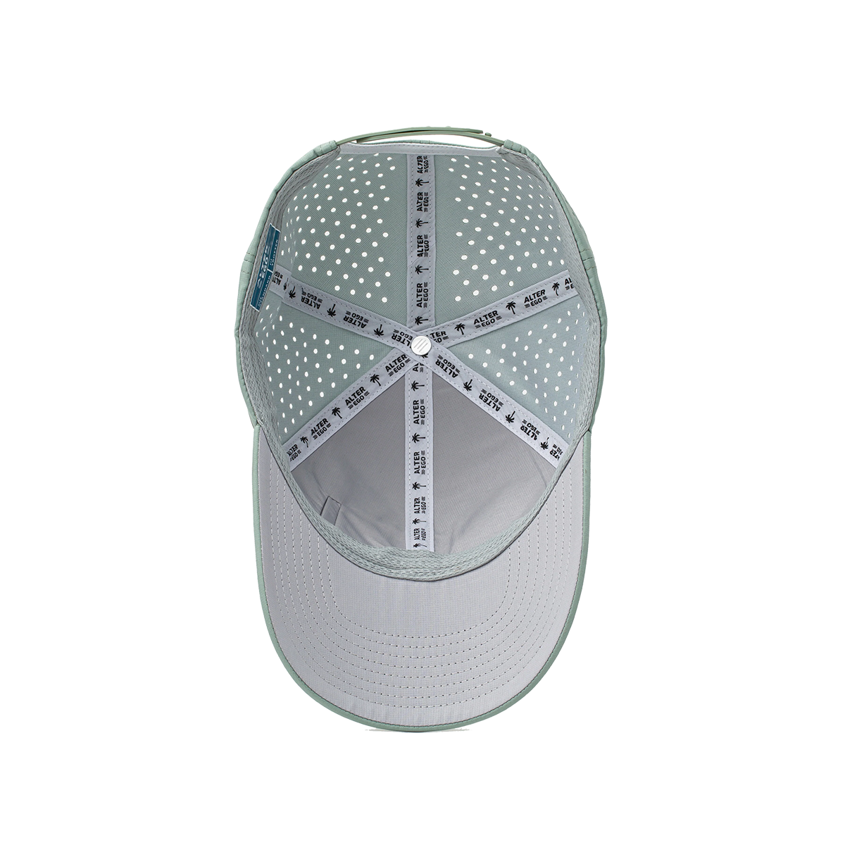 Alter EgoTrotter Splash