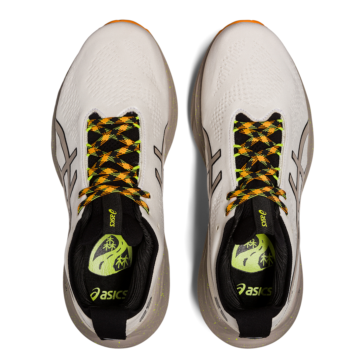 Asics Gel Nimbus 25 TR