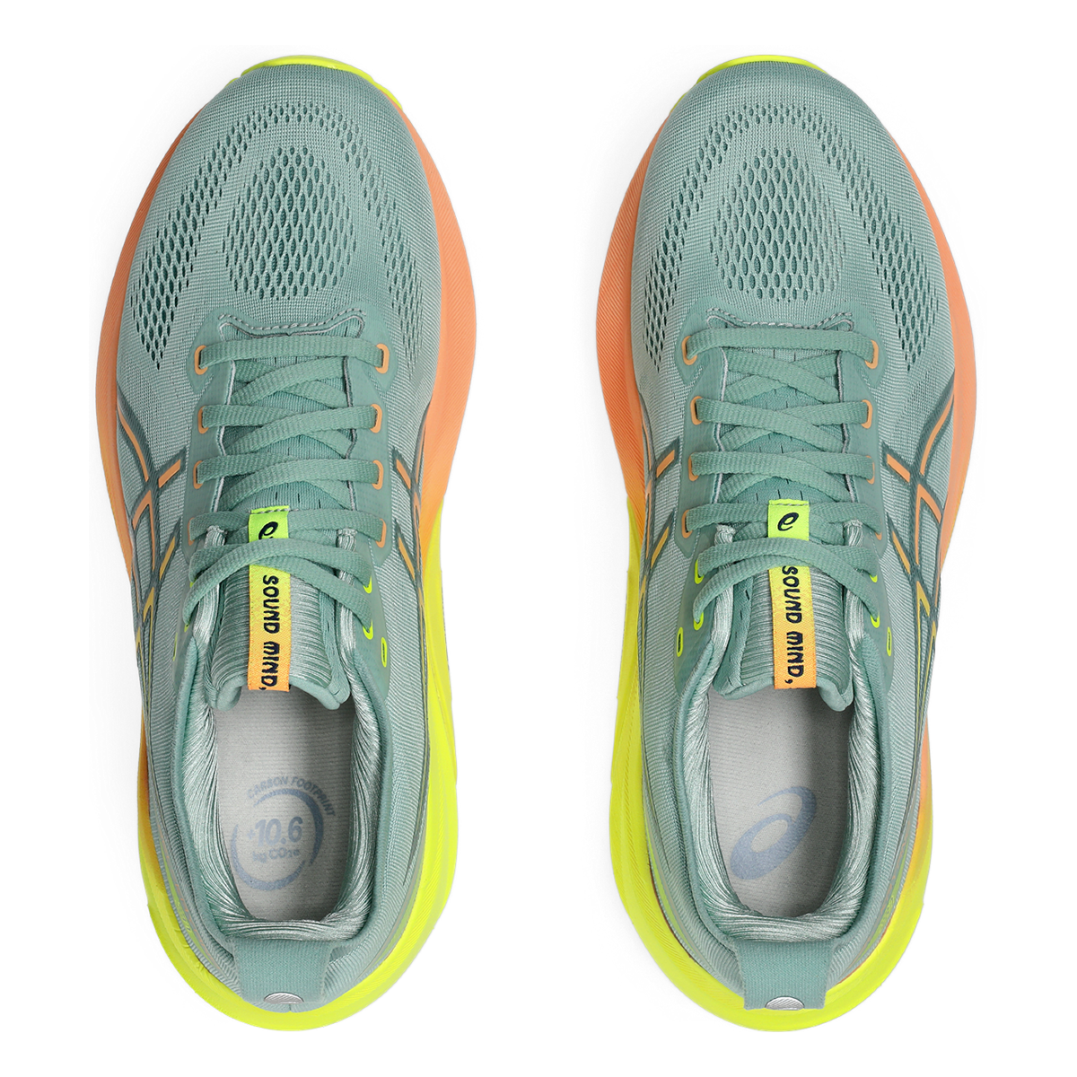 Asics Gel Kayano 31 Paris