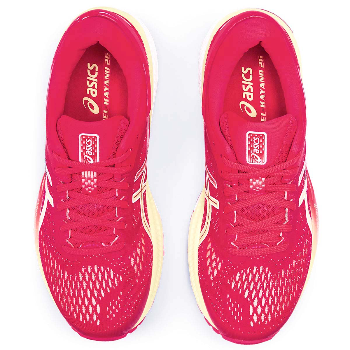 Asics Kayano 26 Arise
