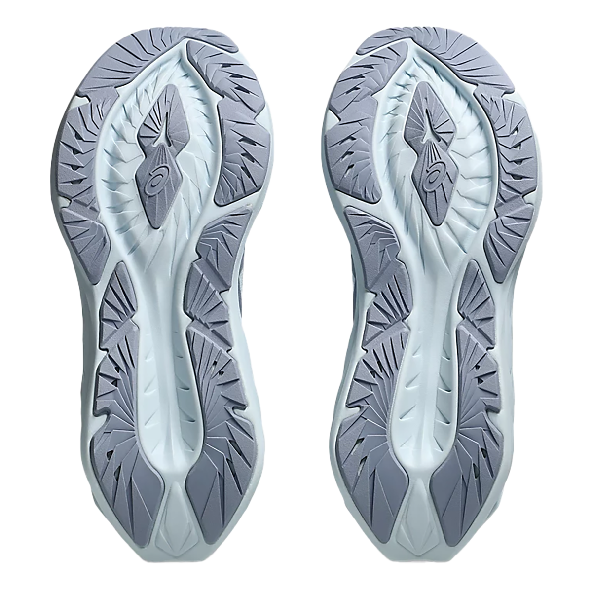 Asics Novablast 4 LE