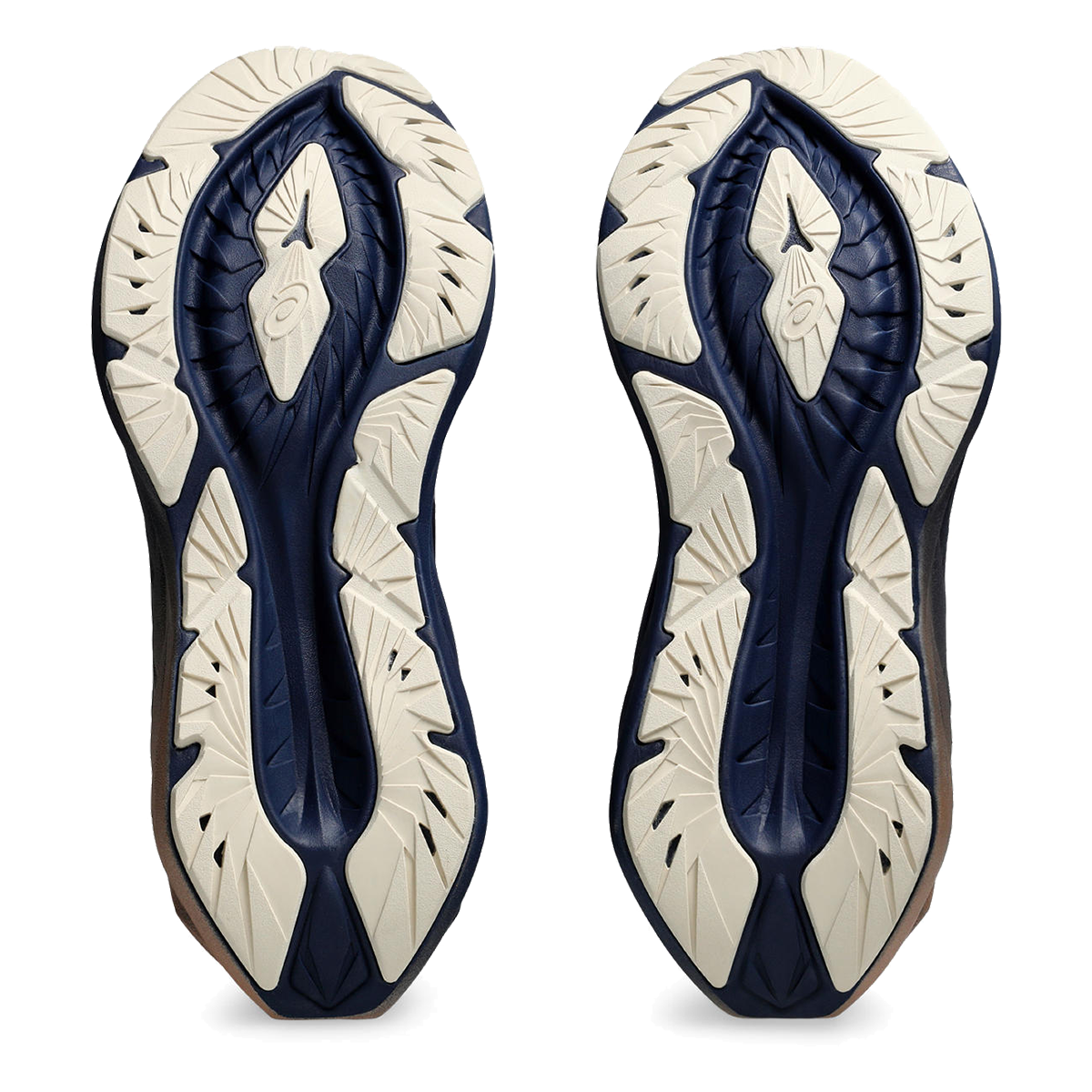 Asics Novablast 4 Platinum