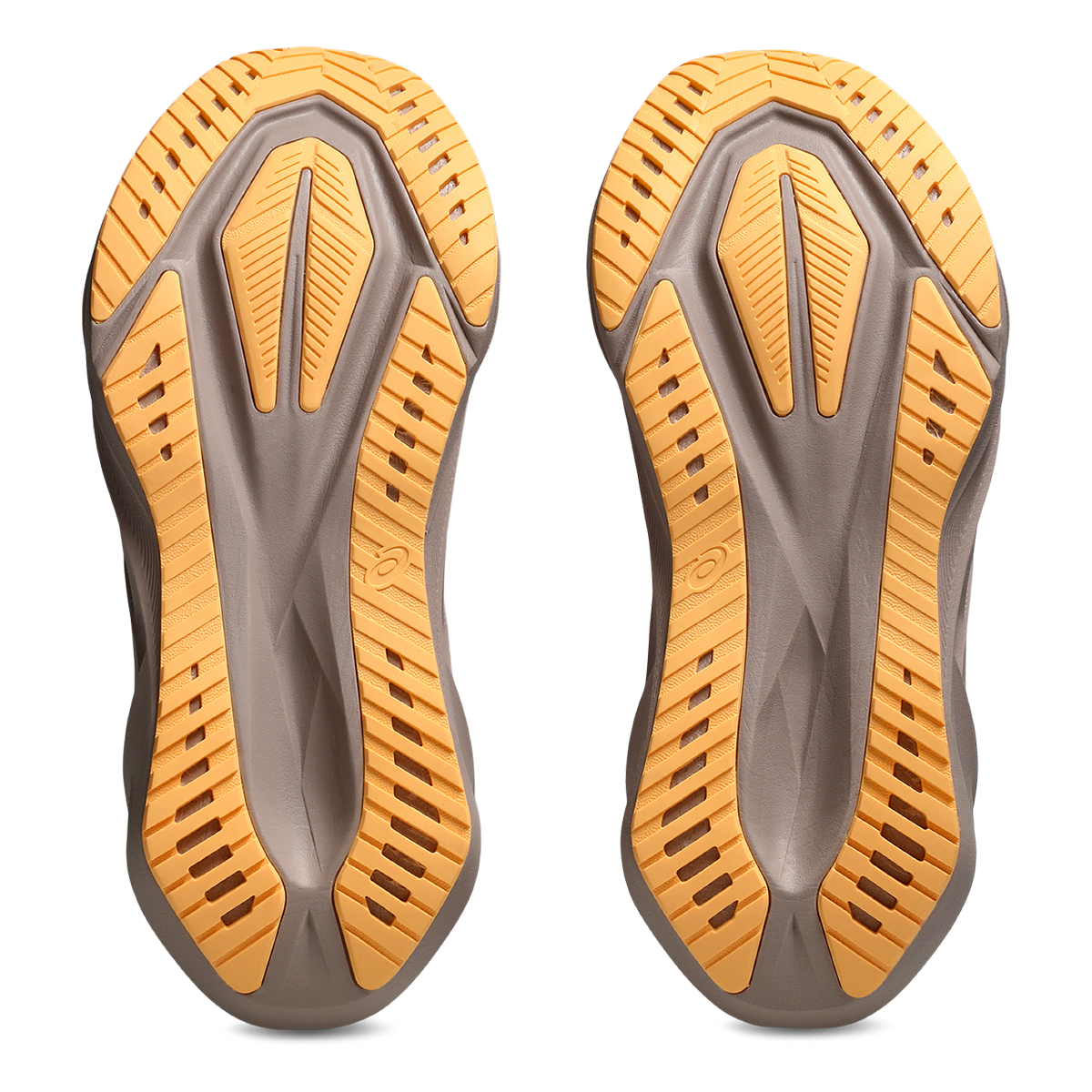 Asics Novablast 5 White - Fawn