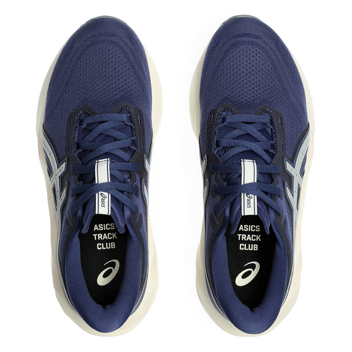 Asics Novablast 5 ATC