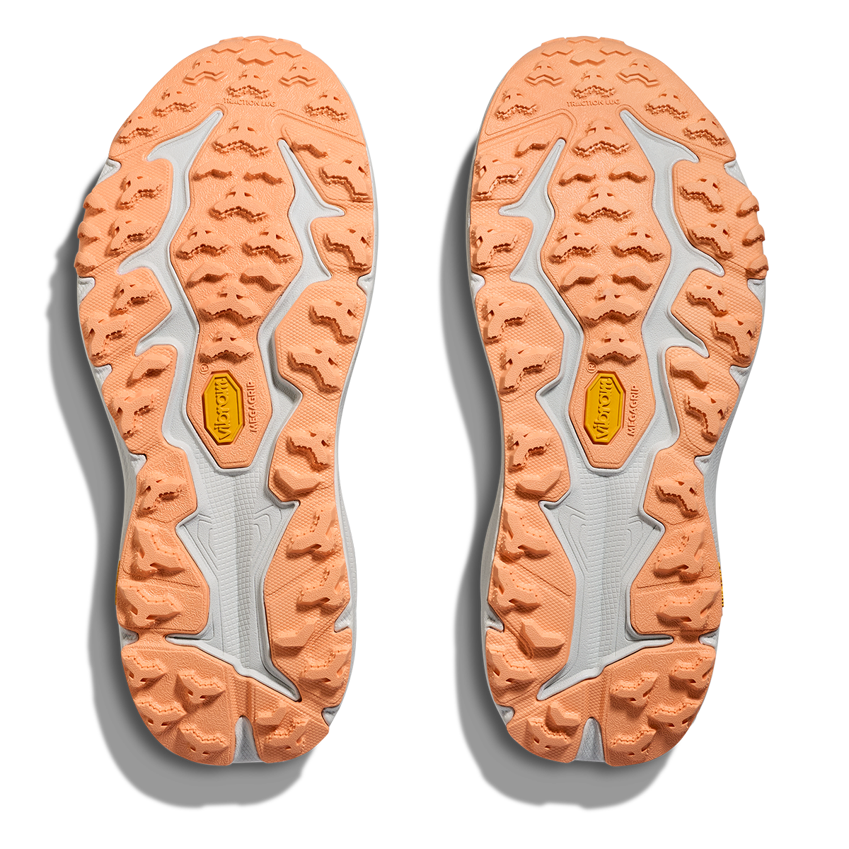 Hoka Speedgoat 6