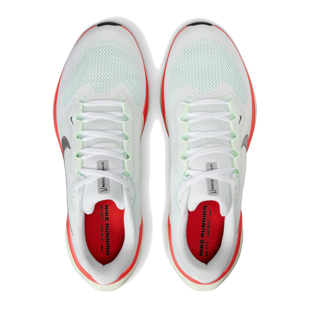 Nike Air Zoom Pegasus 41