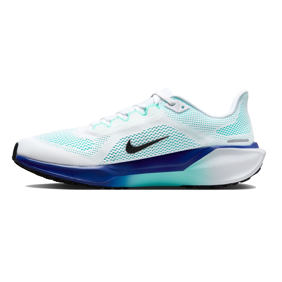 Nike Air Zoom Pegasus 41