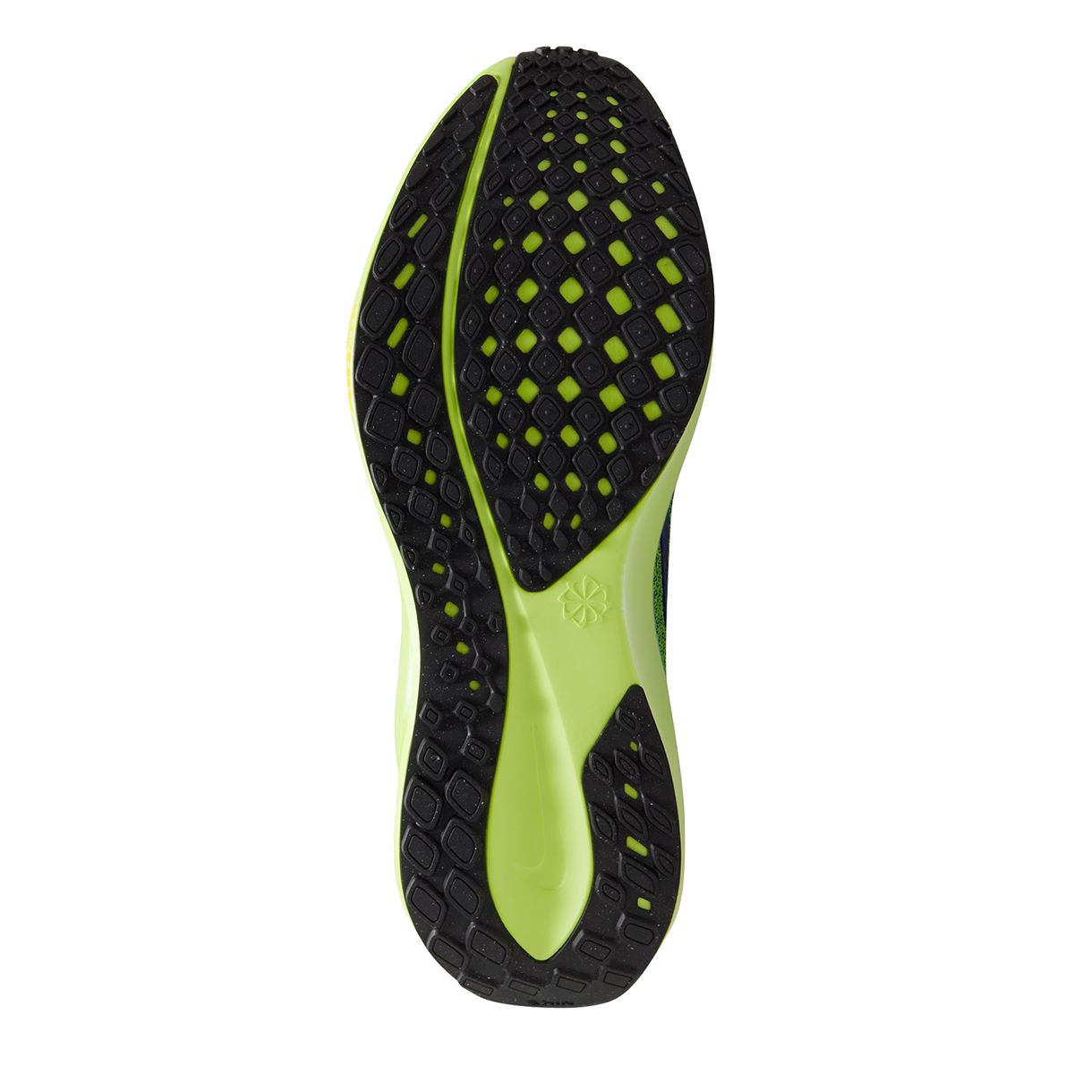 Nike Air Zoom Pegasus 41