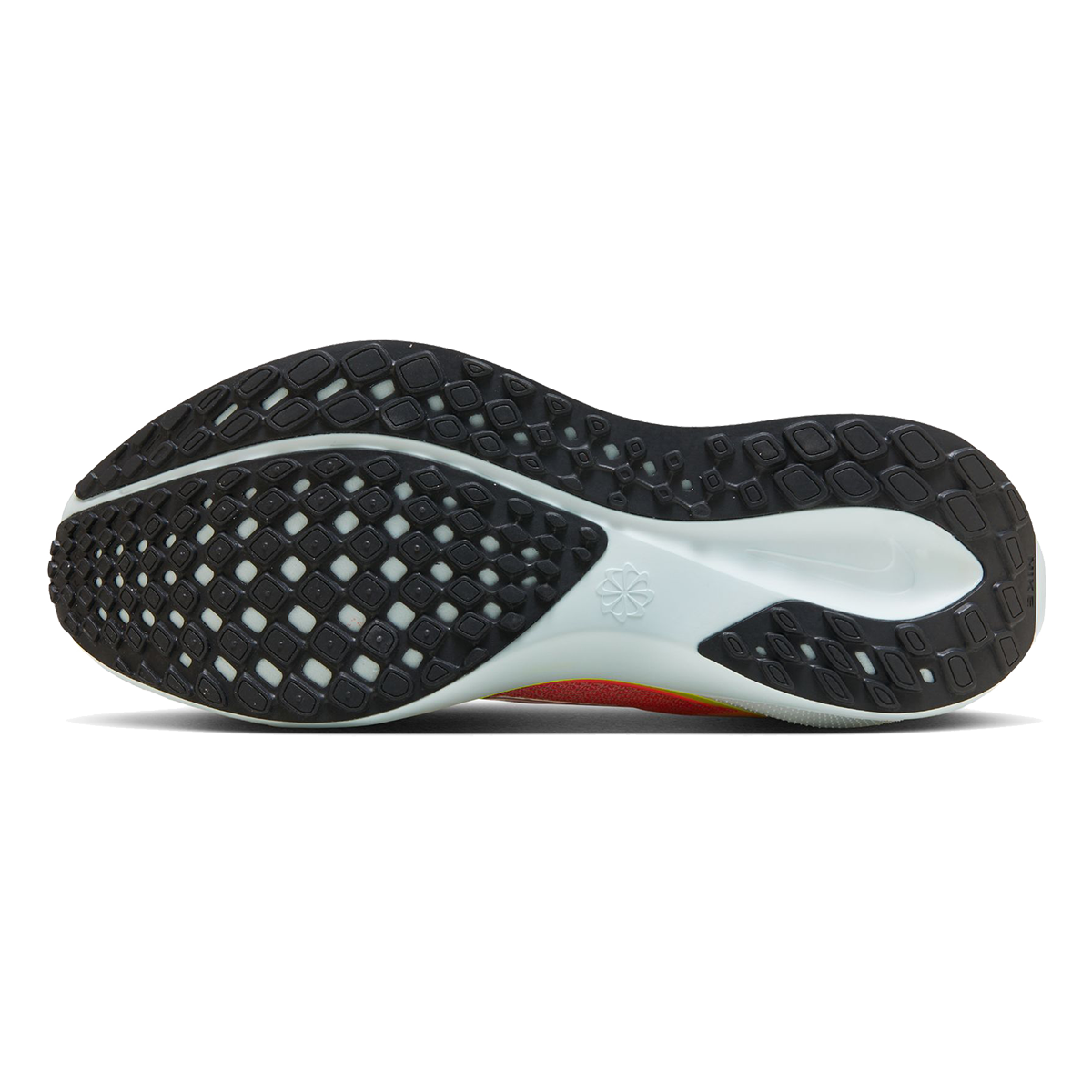 Nike Air Zoom Pegasus 41