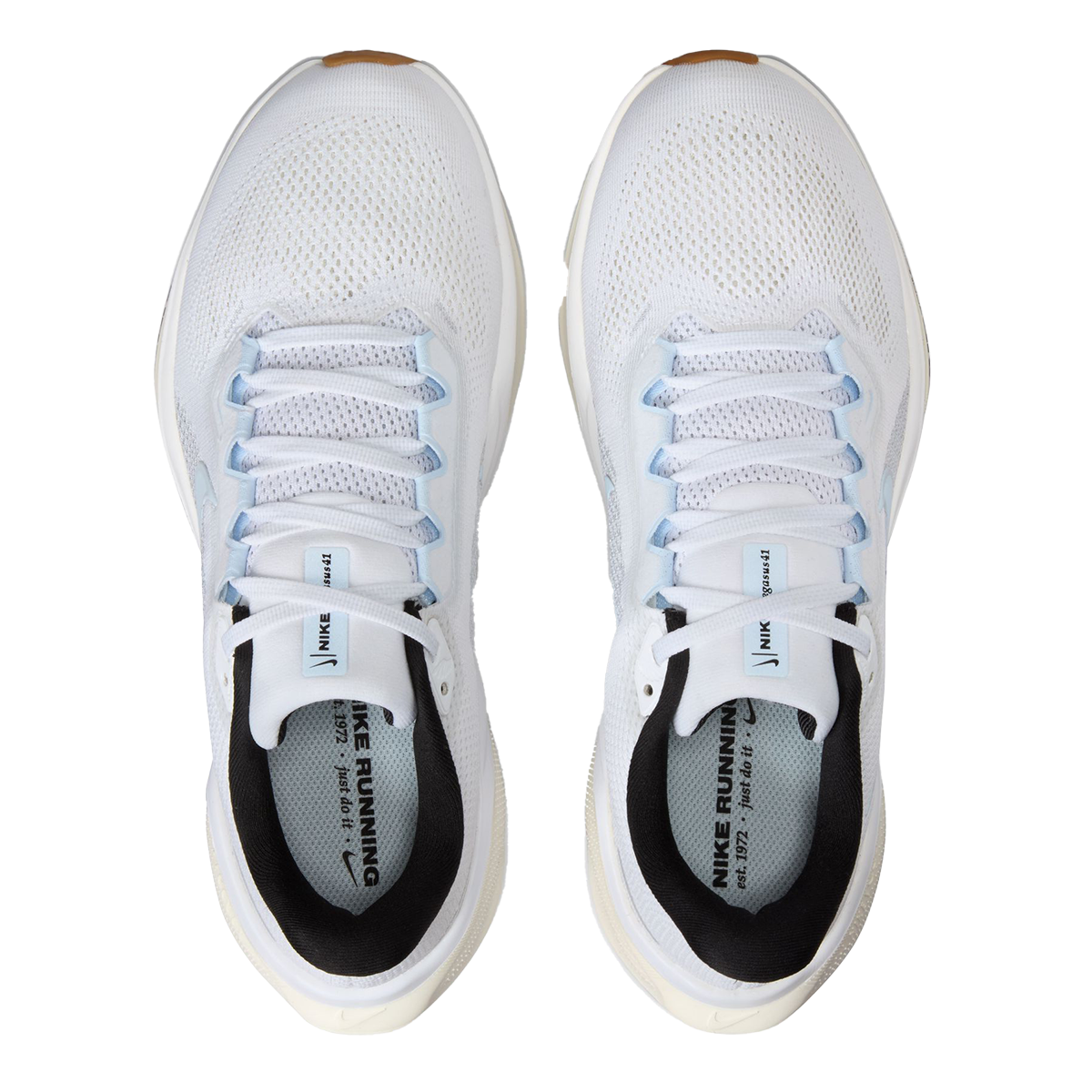 Nike Air Zoom Pegasus 41