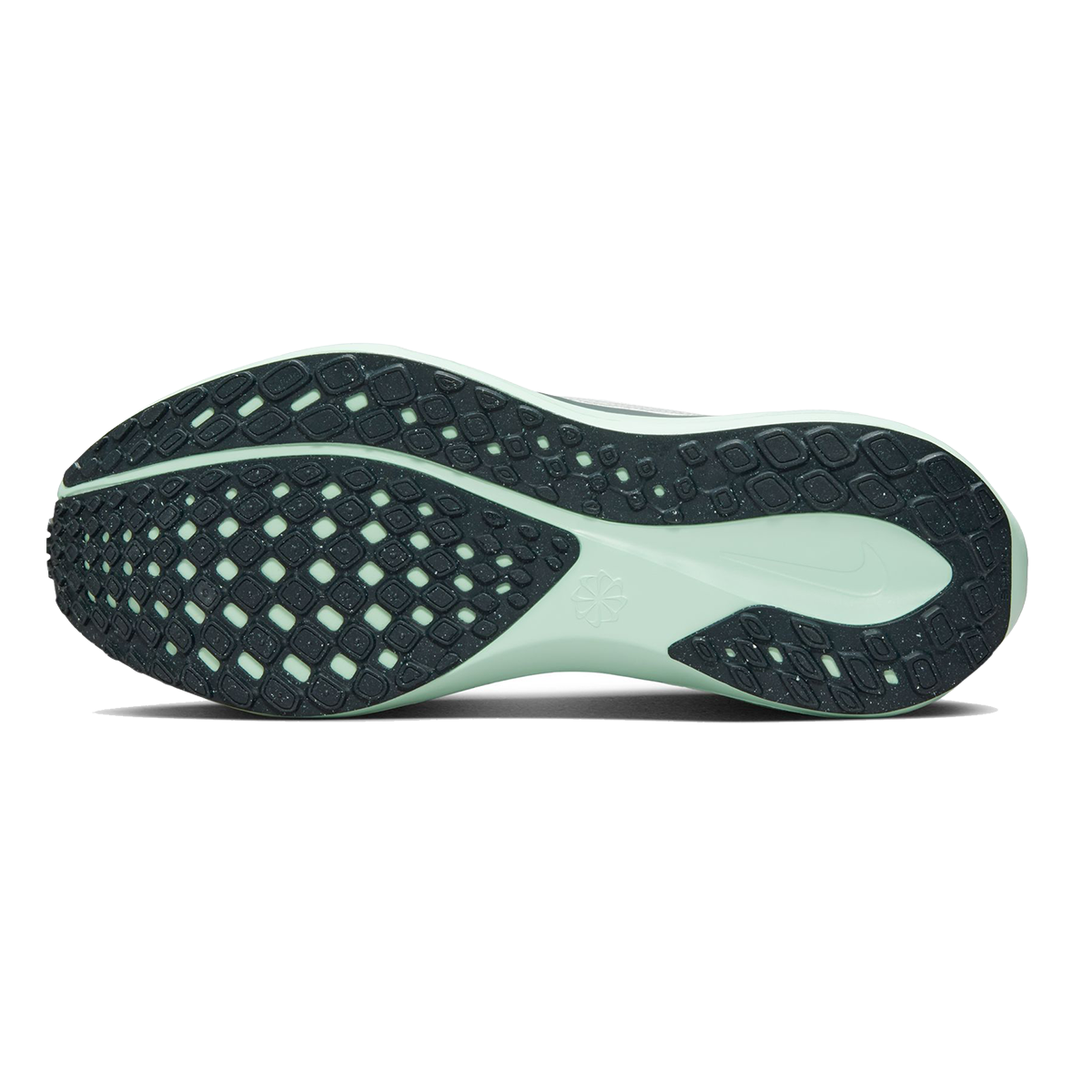 Nike Air Zoom Pegasus 41