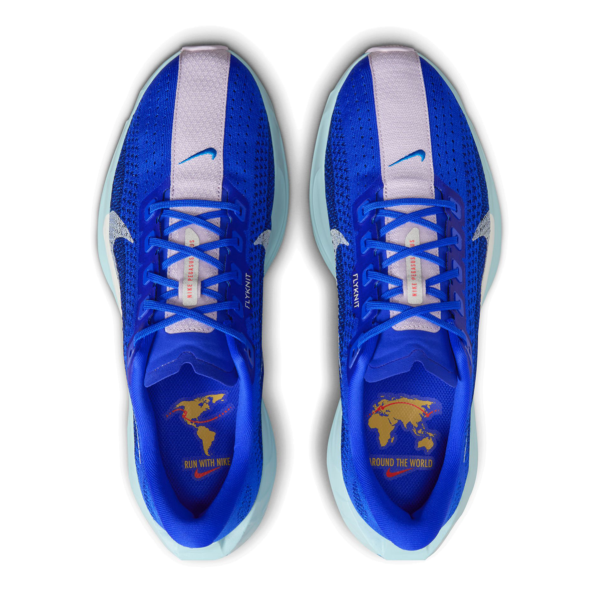 Nike Pegasus Plus CM