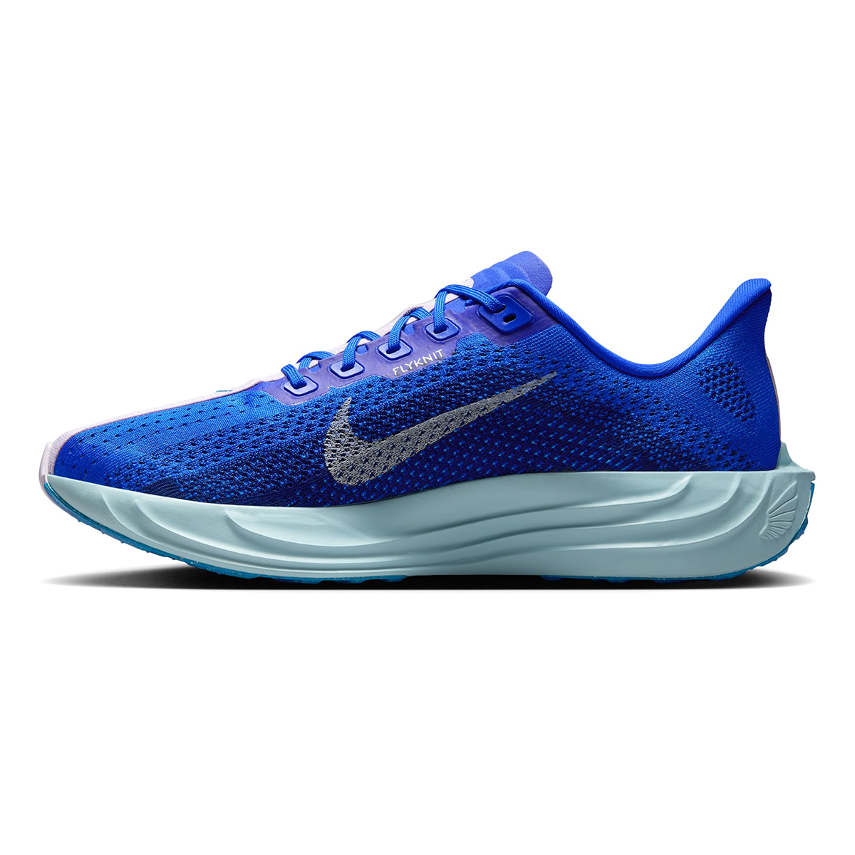 Nike Pegasus Plus CM