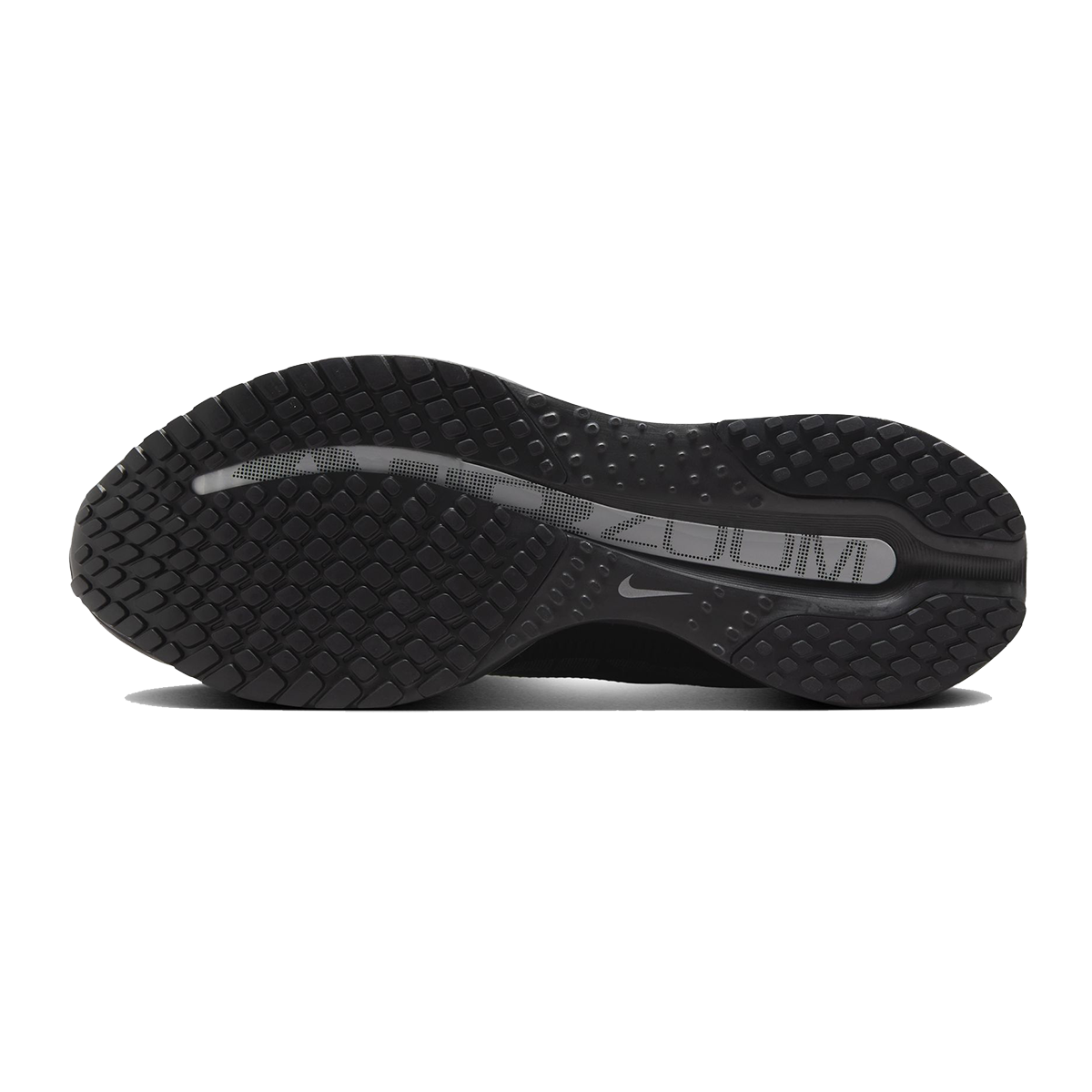 Nike Pegasus Premium