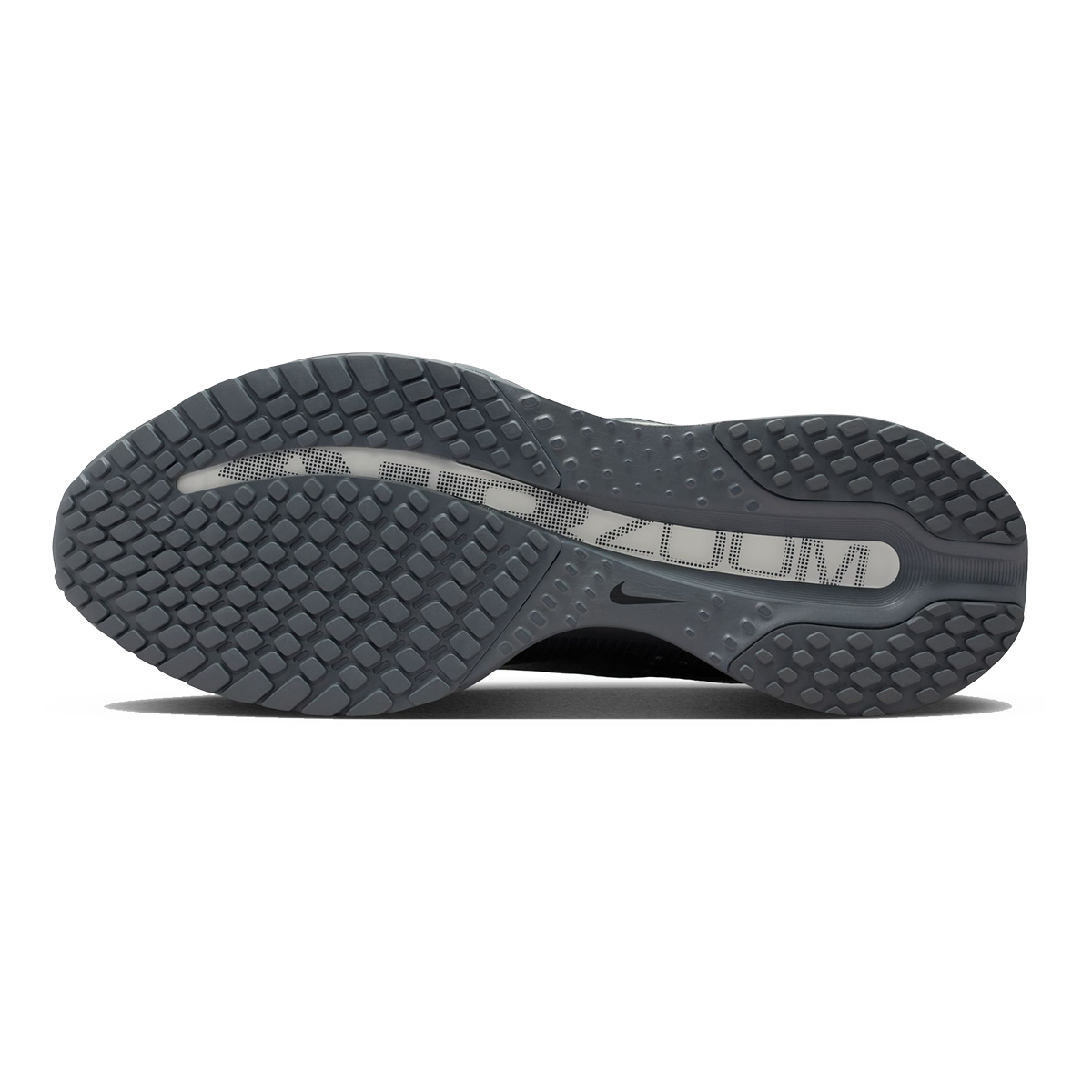 Nike Pegasus Premium