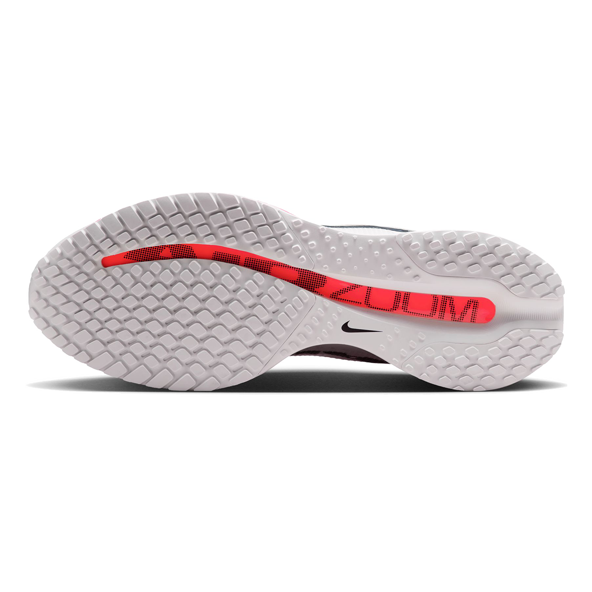 Nike Pegasus Premium