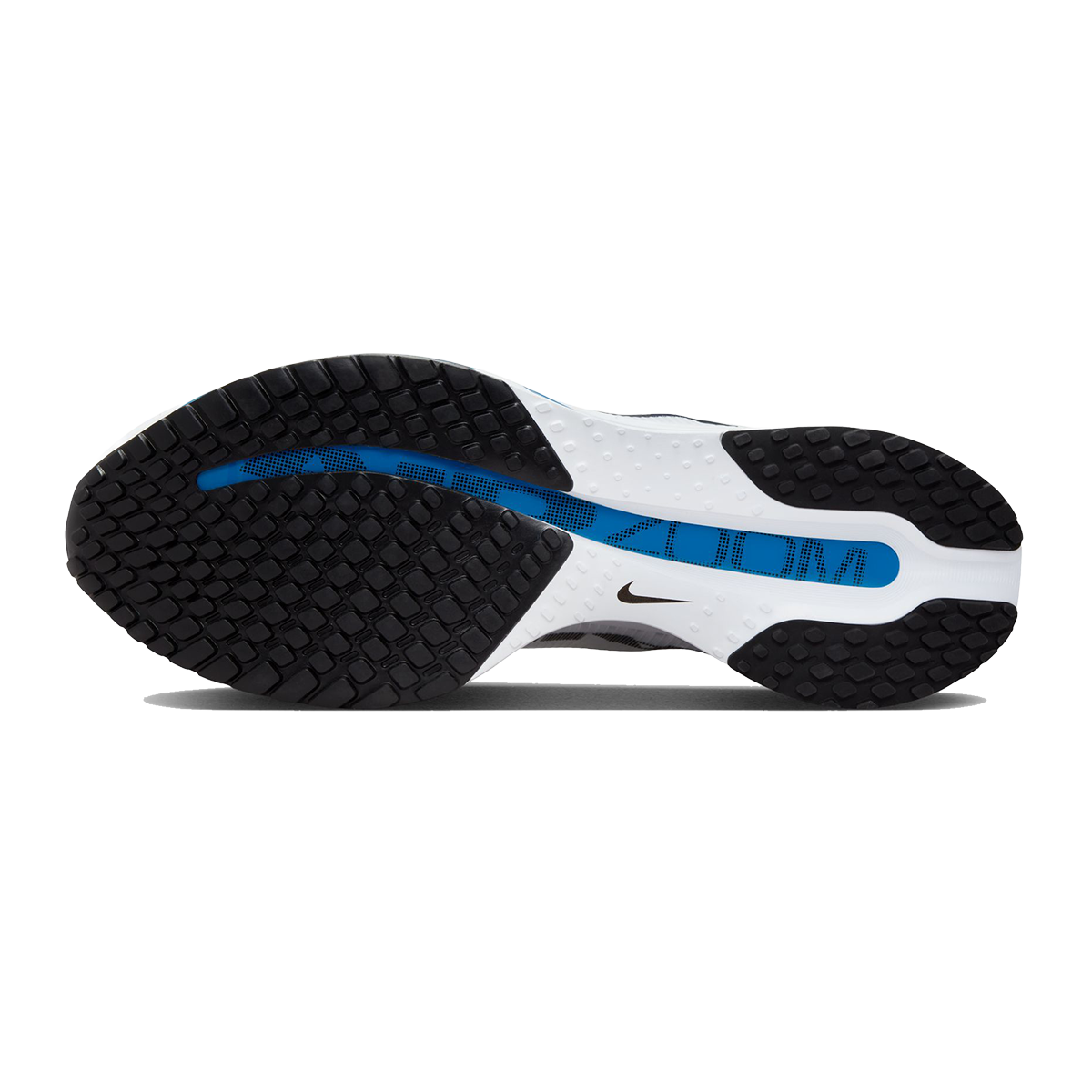 Nike Pegasus Premium