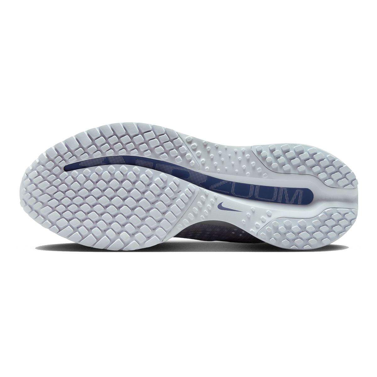 Nike Pegasus Premium