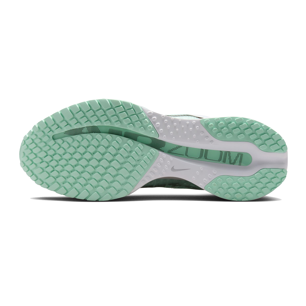 Nike Pegasus Premium