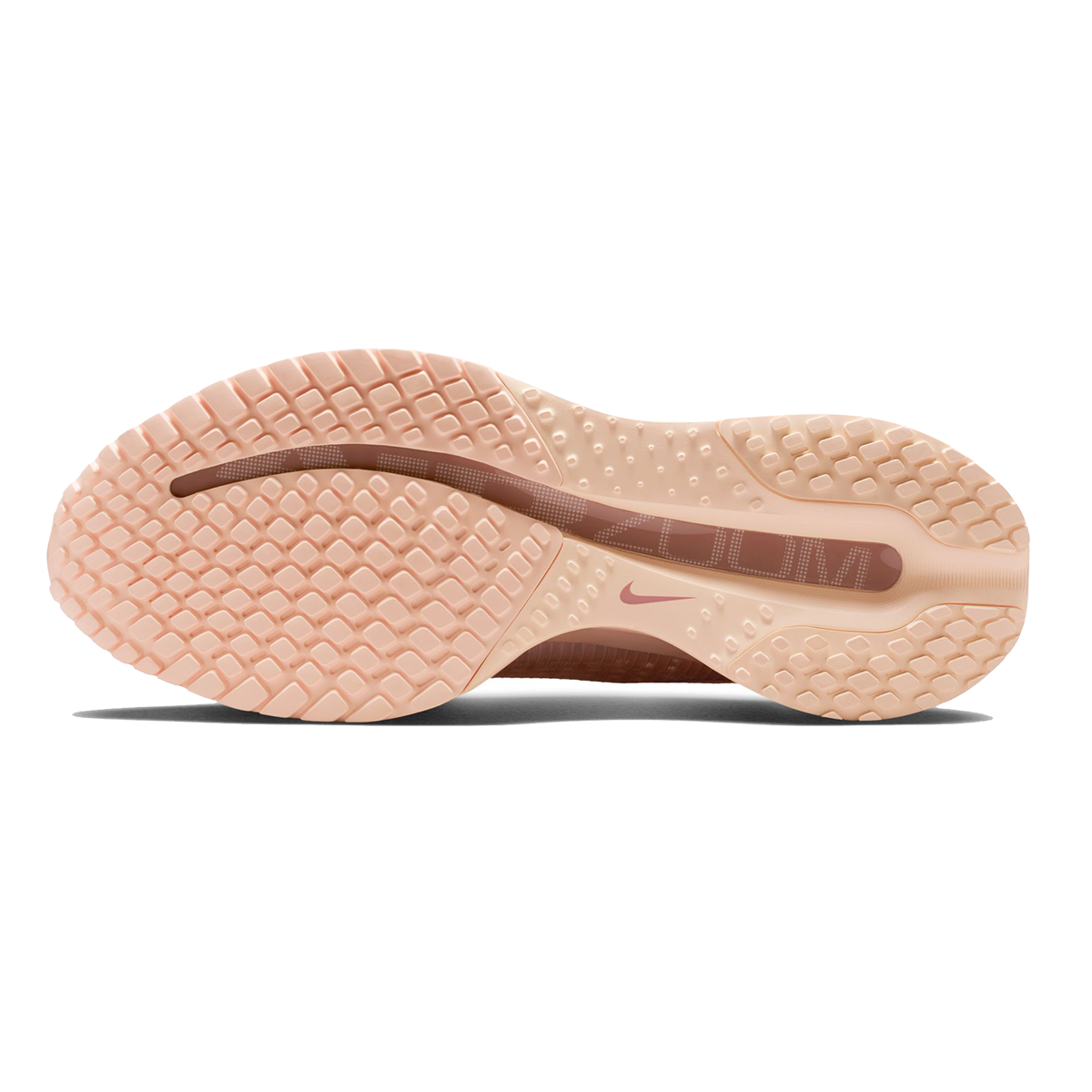 Nike Pegasus Premium