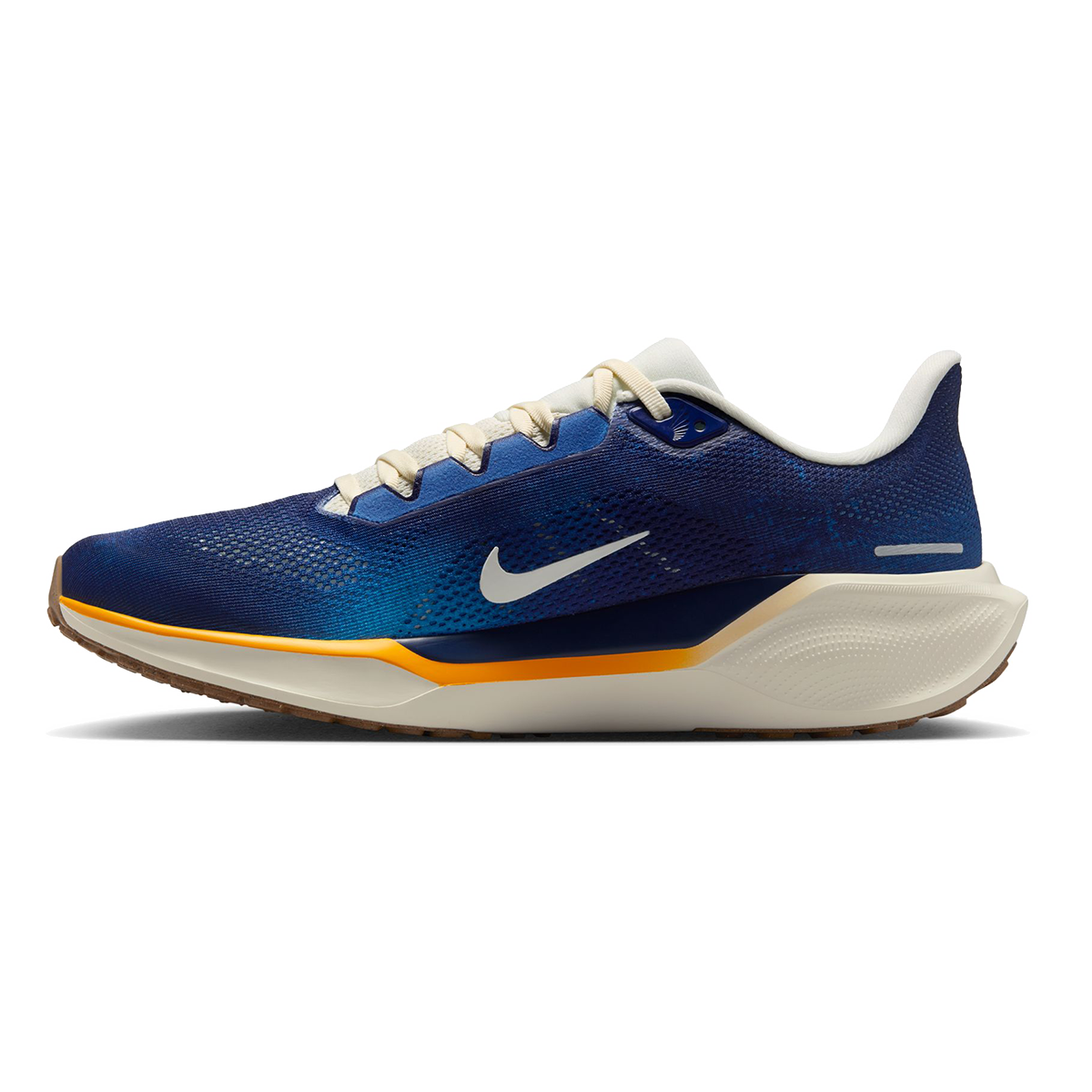 Nike Air Zoom Pegasus 41