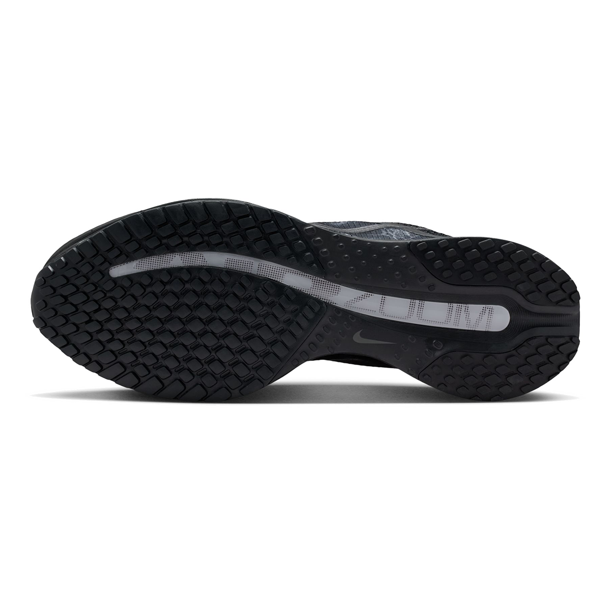 Nike Pegasus Premium