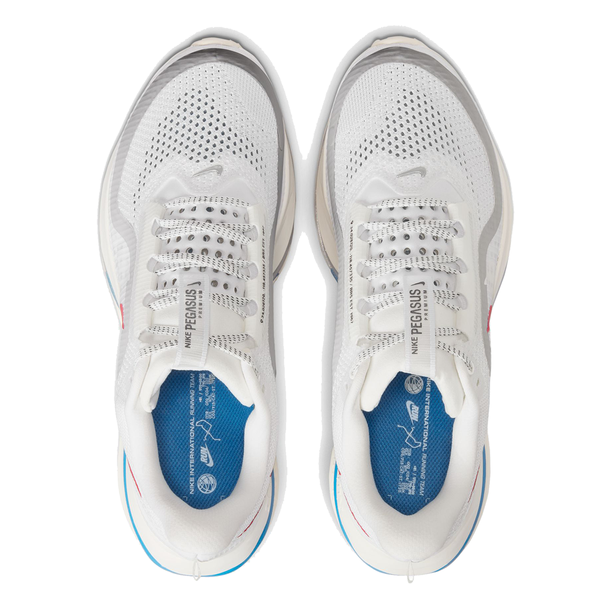 Nike Pegasus Premium