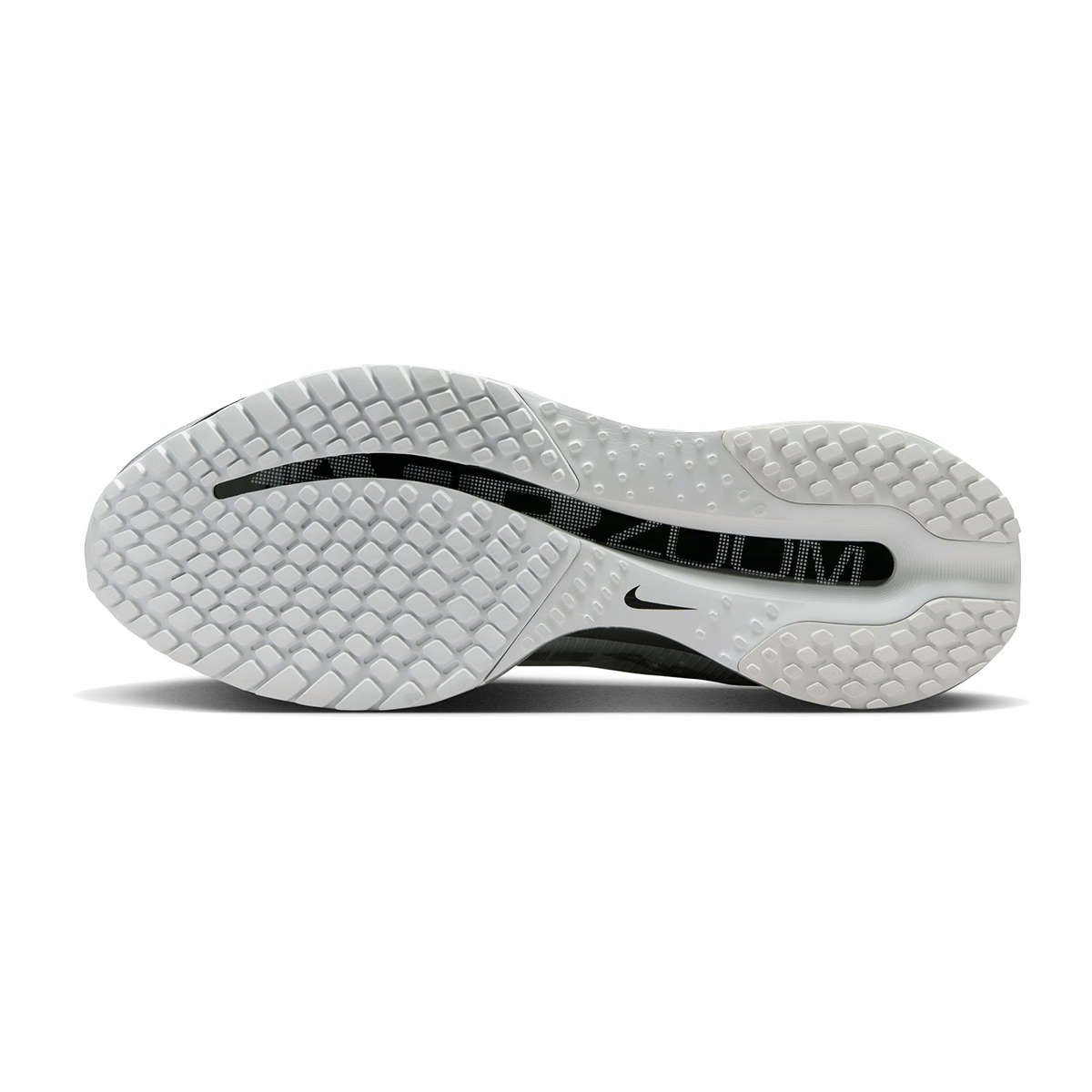 Nike Pegasus Premium RR