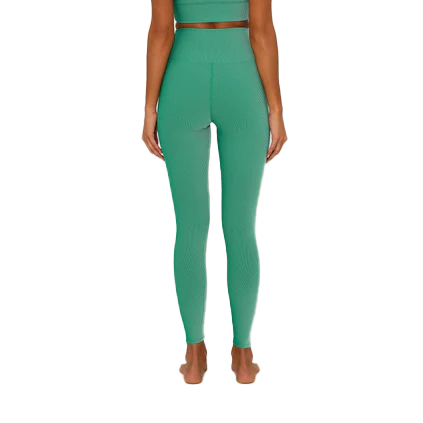 Beach Riot Tayler Legging