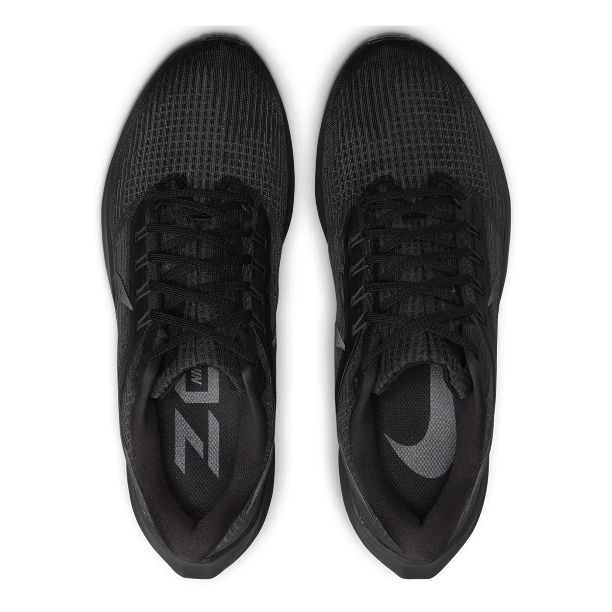 Nike Air Zoom Pegasus 39