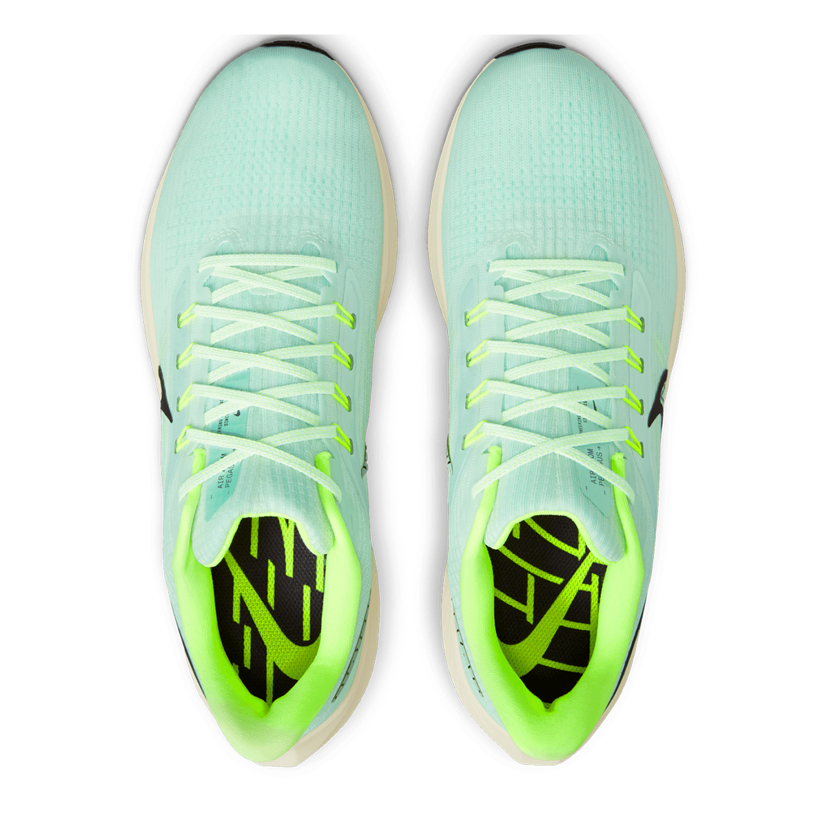 Nike Air Zoom Pegasus 39