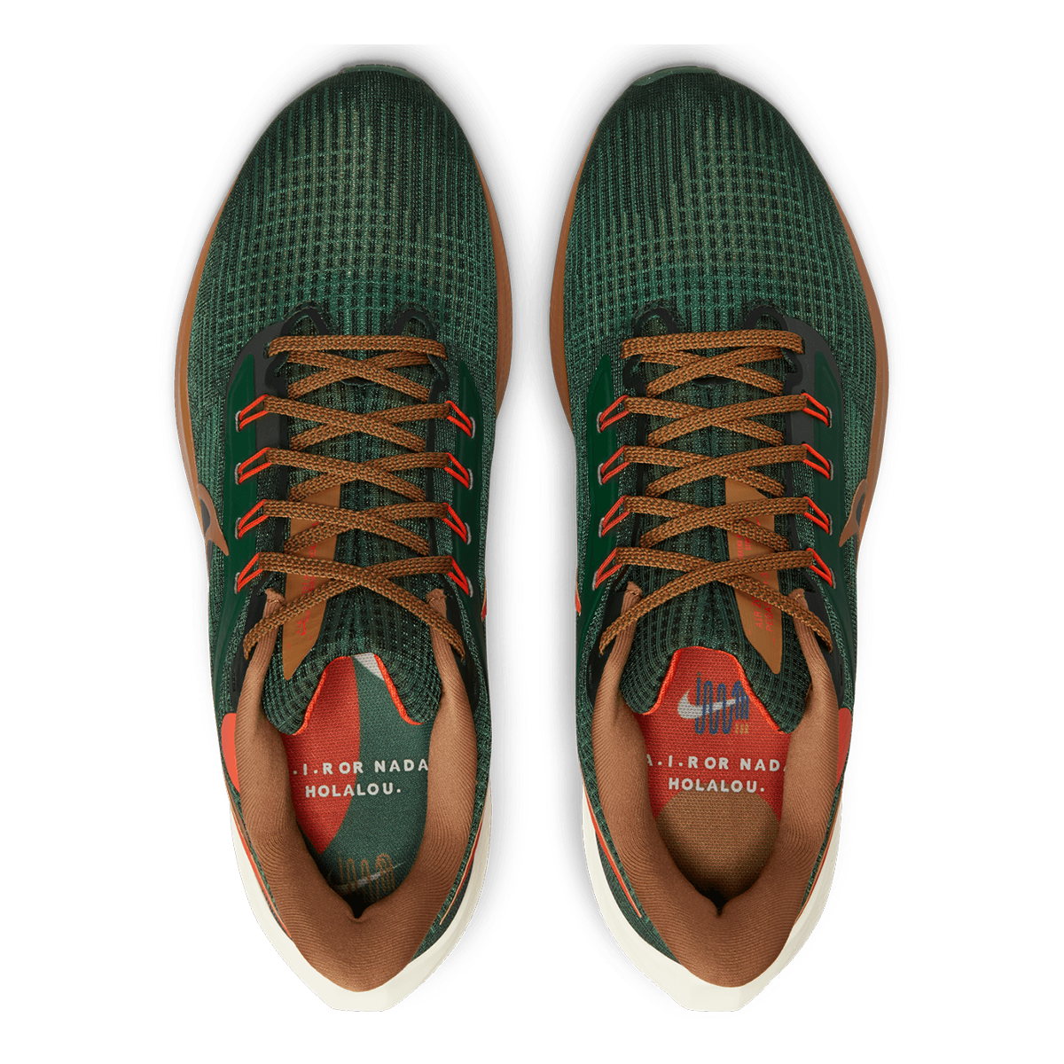 Nike Air Zoom Pegasus 39 A.I.R. Hola Lou