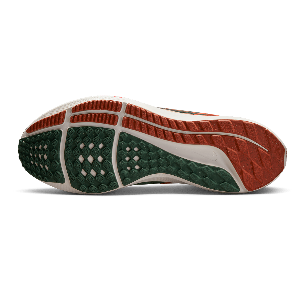 Nike Air Zoom Pegasus 39 A.I.R. Hola Lou