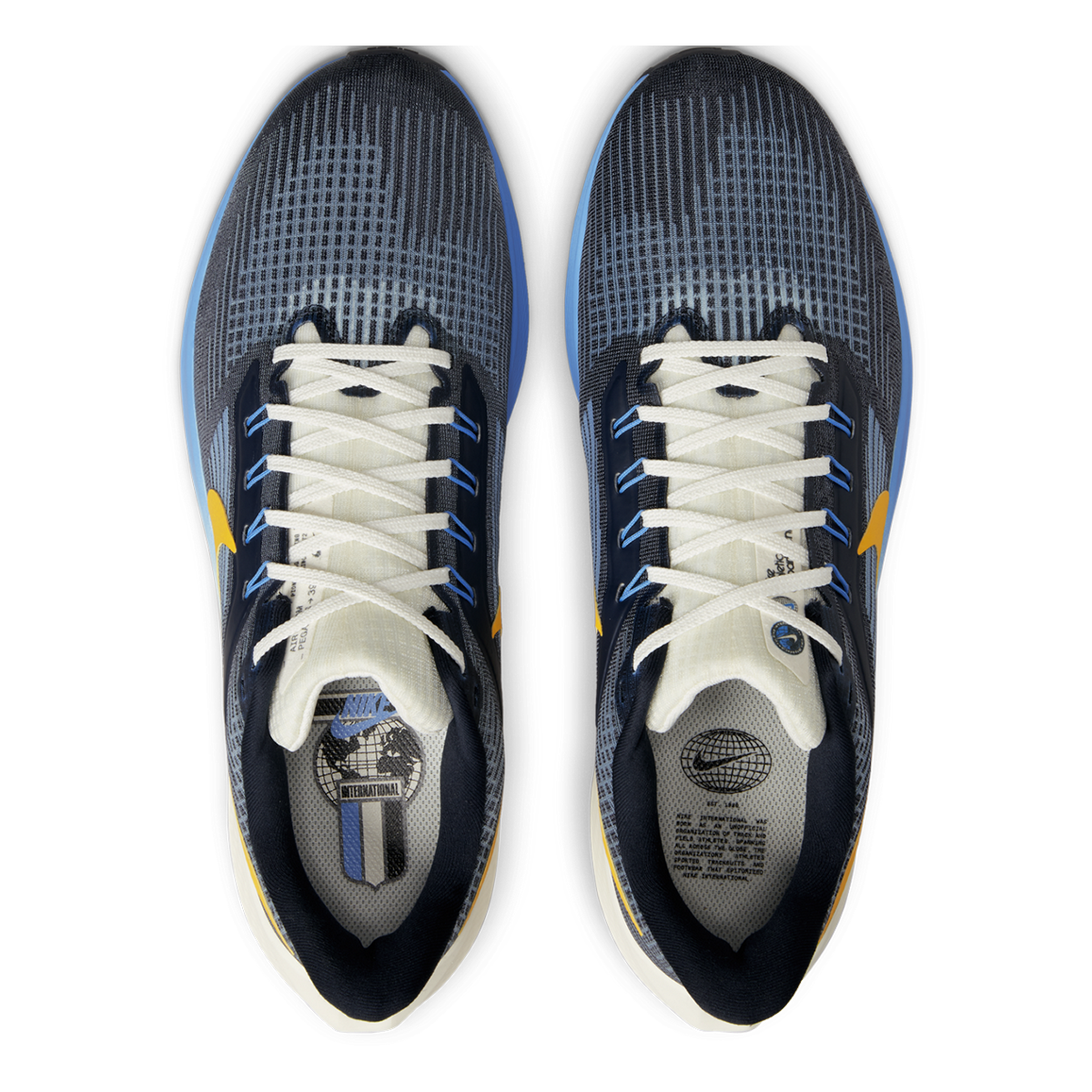 Nike Air Zoom Pegasus 39