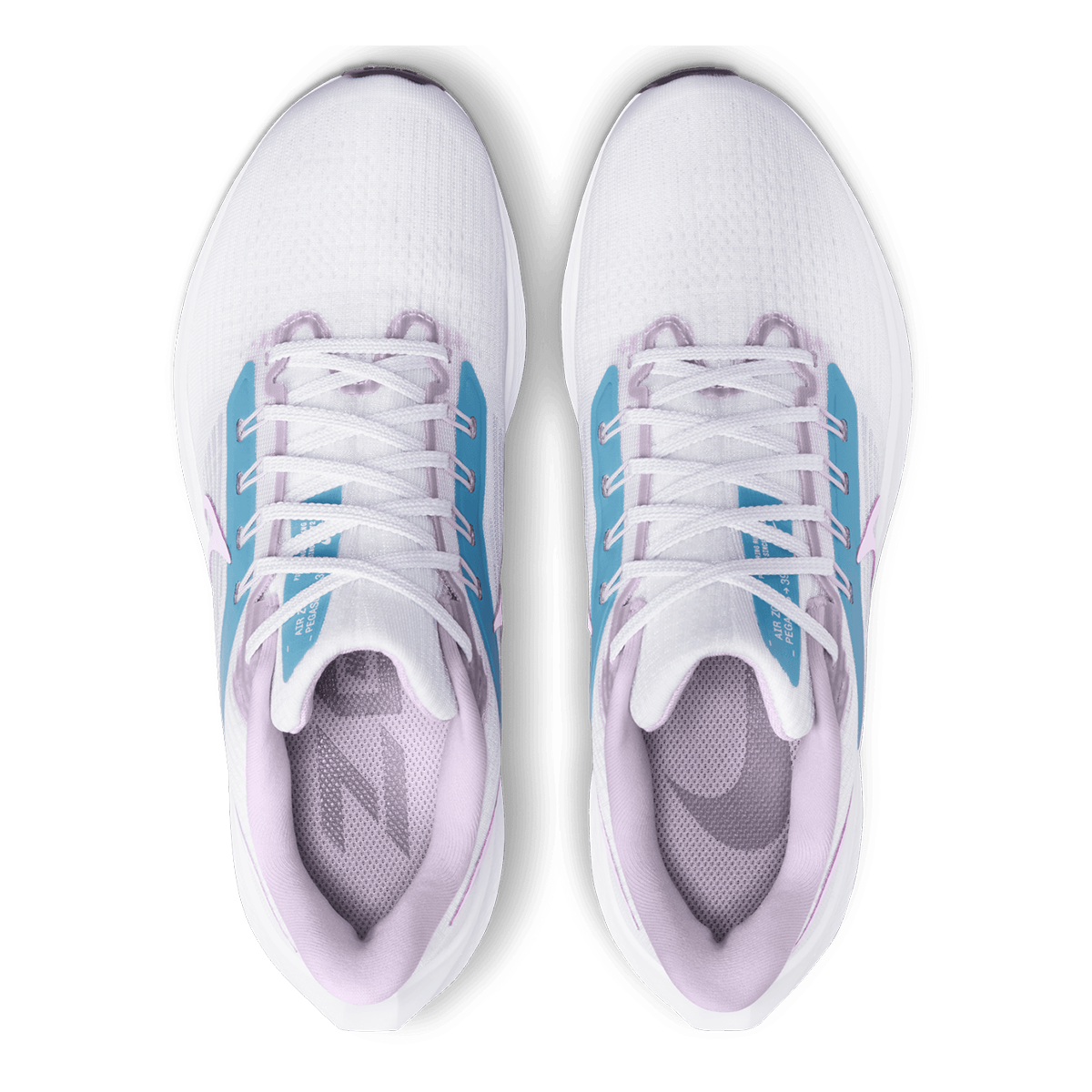 Nike Air Zoom Pegasus 39