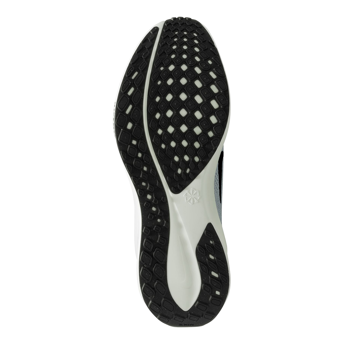 Nike Air Zoom Pegasus 41