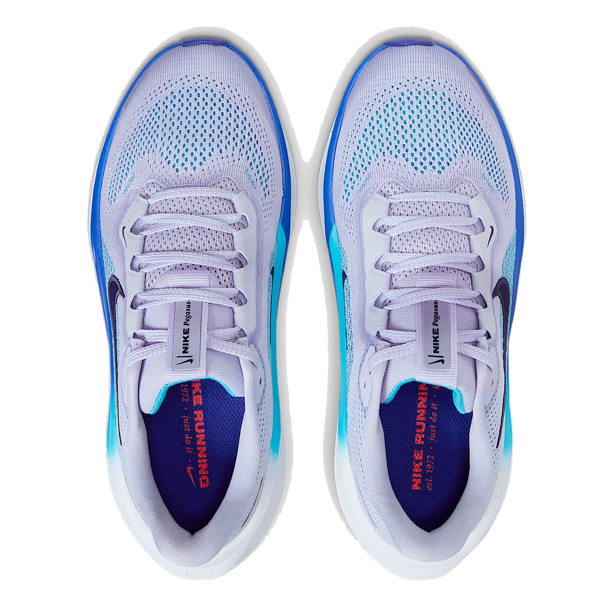 Nike Air Zoom Pegasus 41 GS