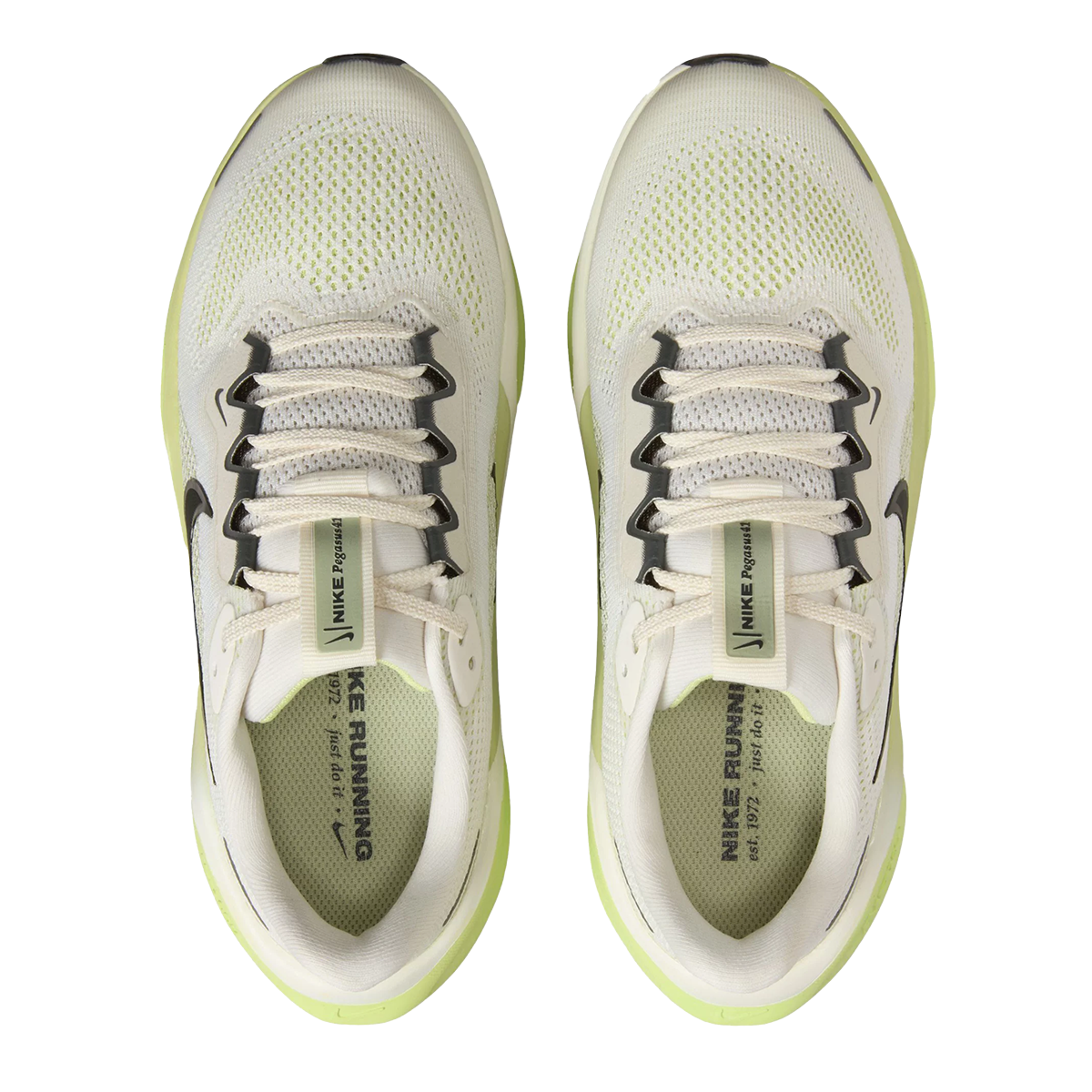 Nike Air Zoom Pegasus 41 GS