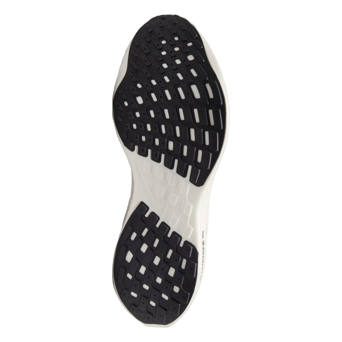 Nike Pegasus Turbo Next Nature