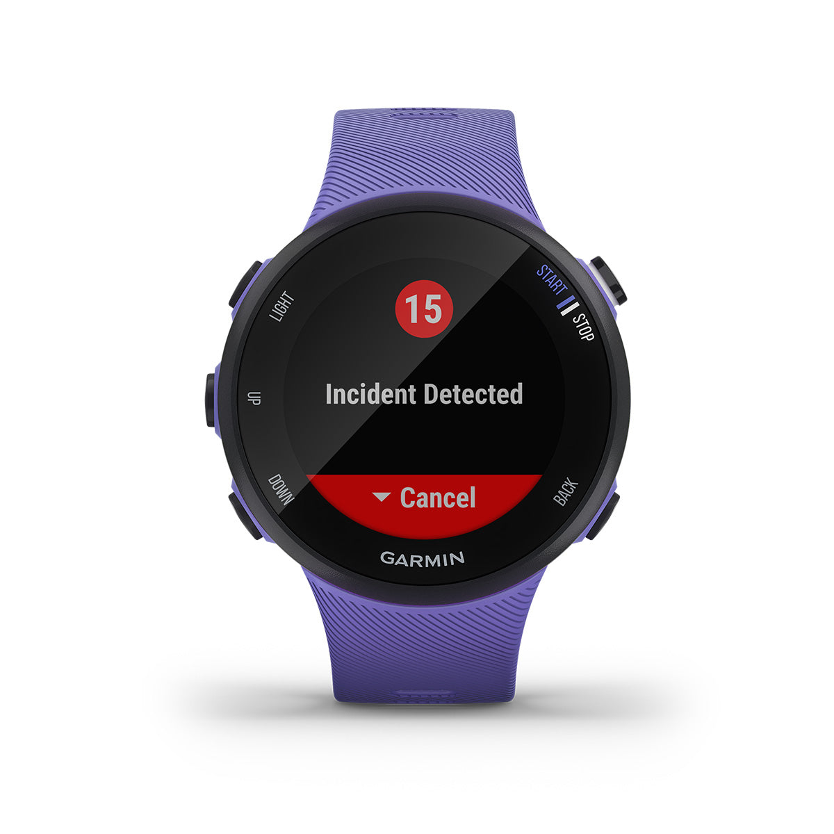 Garmin Forerunner 45S