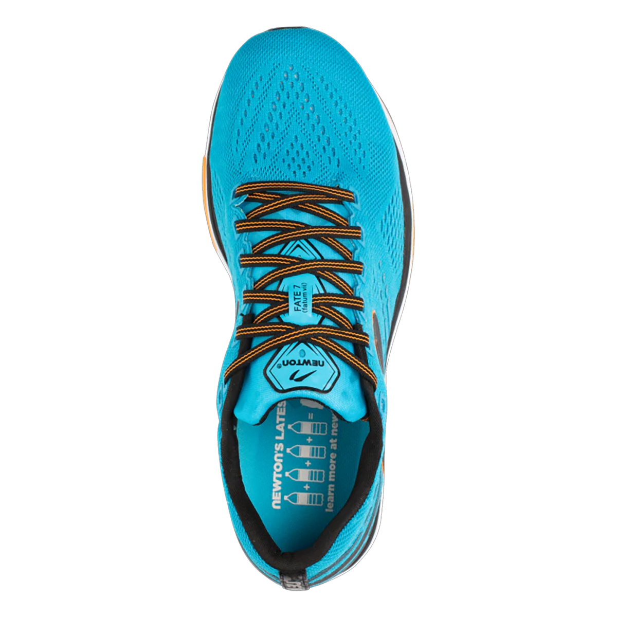 Newton Fate 7