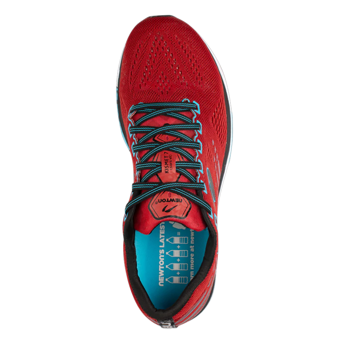 Newton Kismet 7
