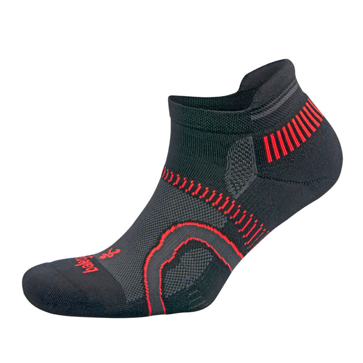 Balega Hidden Contour