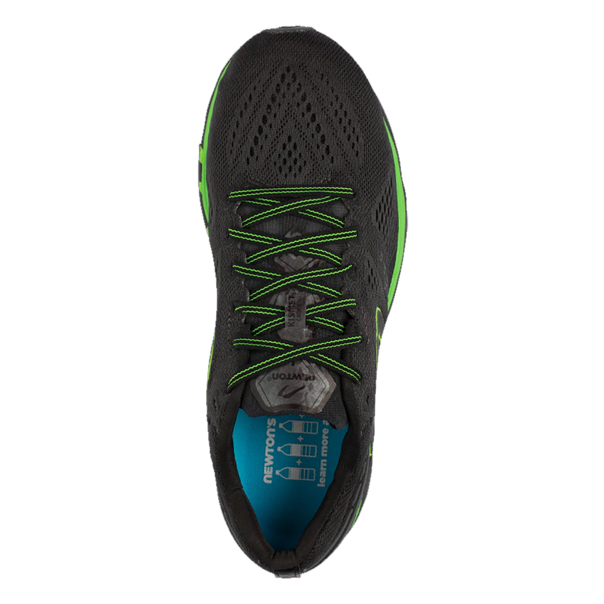 Newton Kismet 7