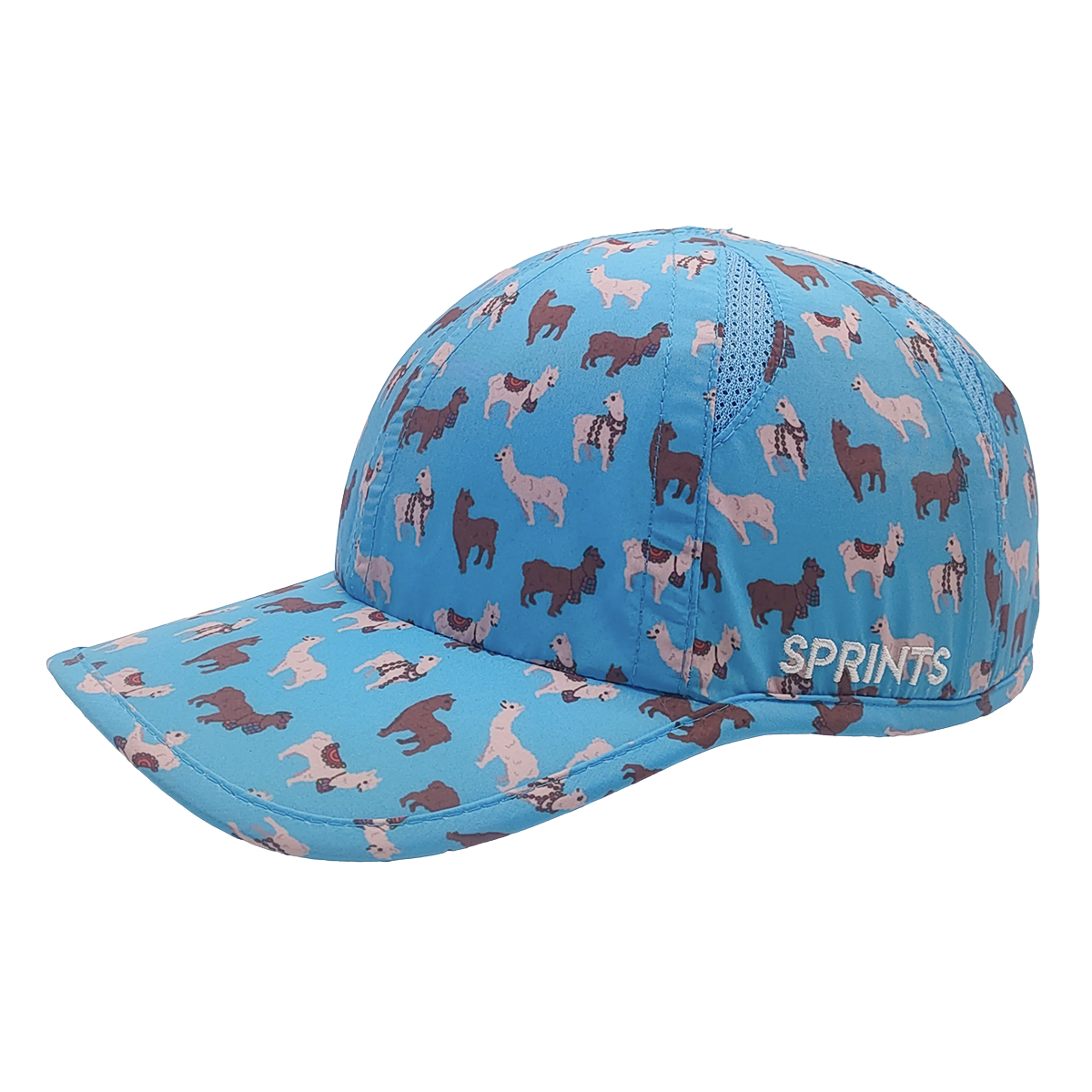 Sprints Race Day Hat