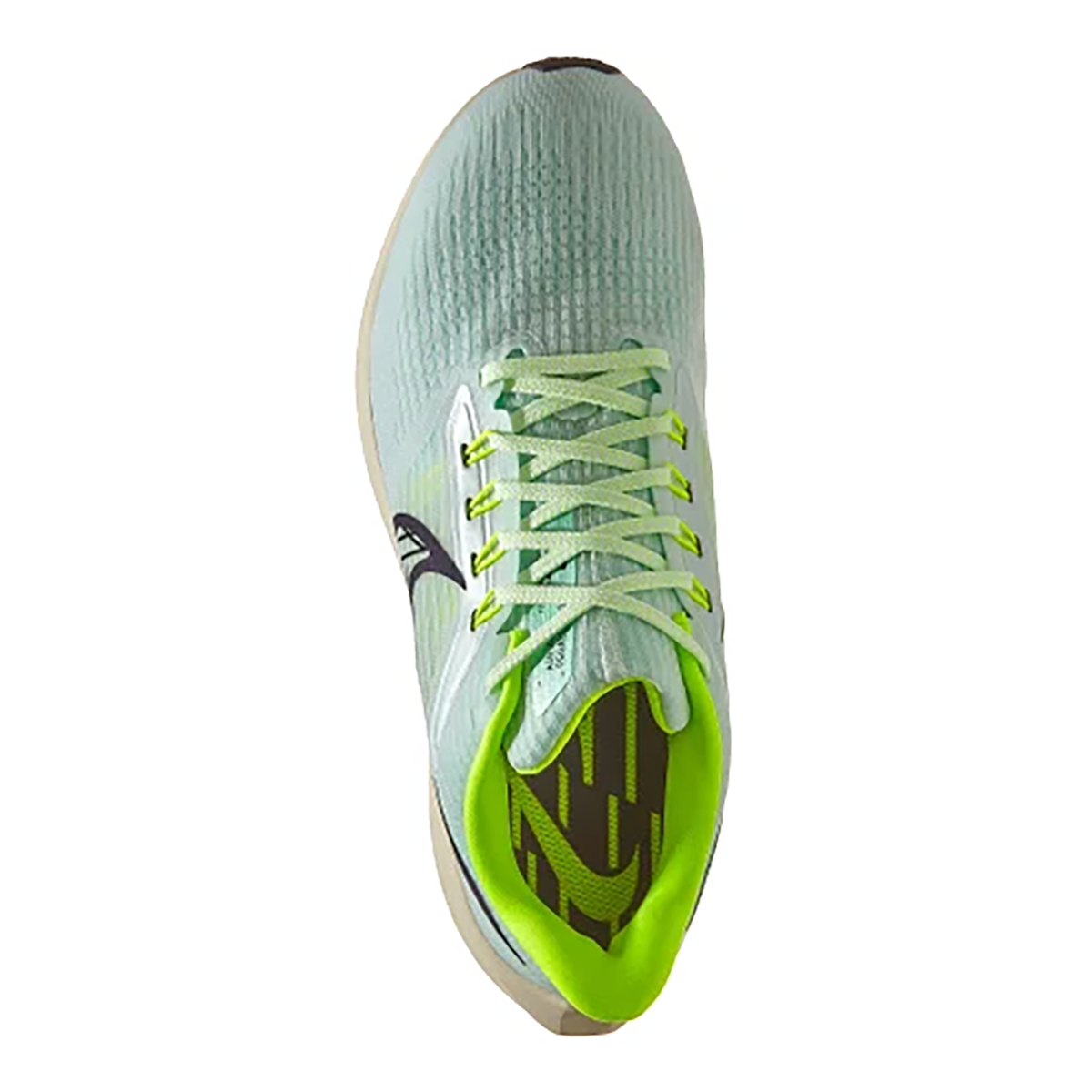 Nike Air Zoom Pegasus 39