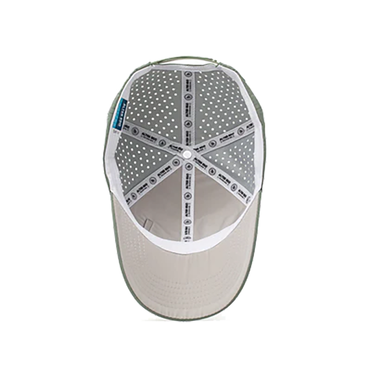 Alter EgoTrotter Splash